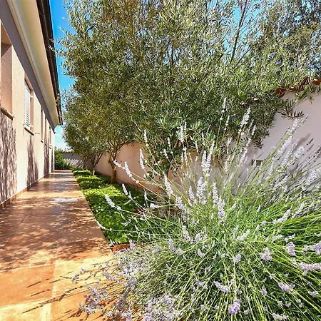 Olgica 2269 Tatil Evi