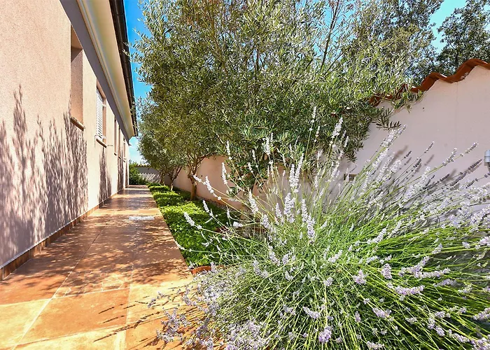 Olgica 2269 Holiday home